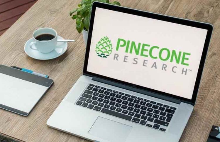 Making Online Money on Pinecone Survey