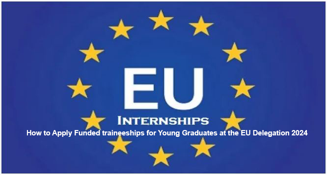 How to Apply Funded traineeships for Young Graduates at the EU Delegation 2024