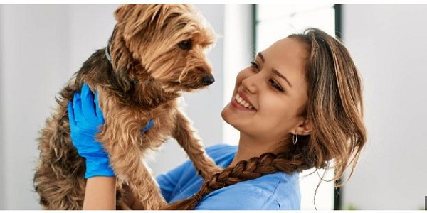 Therapy Dogs Benefits