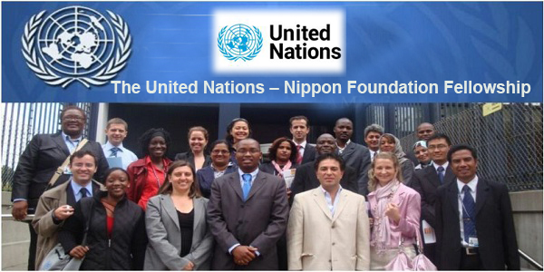 How to Apply United Nations – Nippon Foundation Fellowship 2024