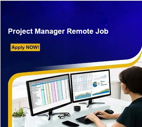 How to Apply Project Manager Remote Job 2024
