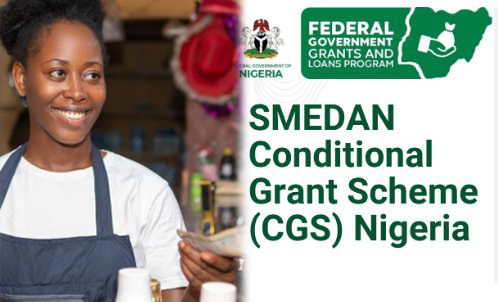 Conditional Grant Scheme for Micro Enterprises (CGS) 2026: Application ...