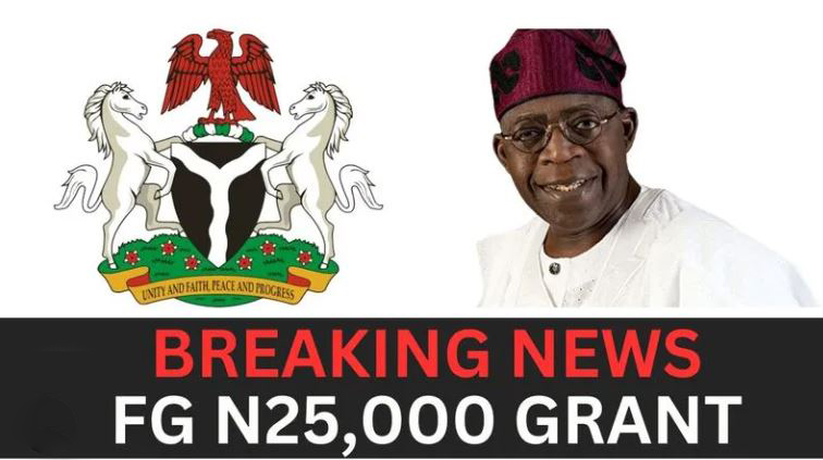 FG Disburses March 2026 ₦25,000 CCT Payment | Renewed Hope Cash ...