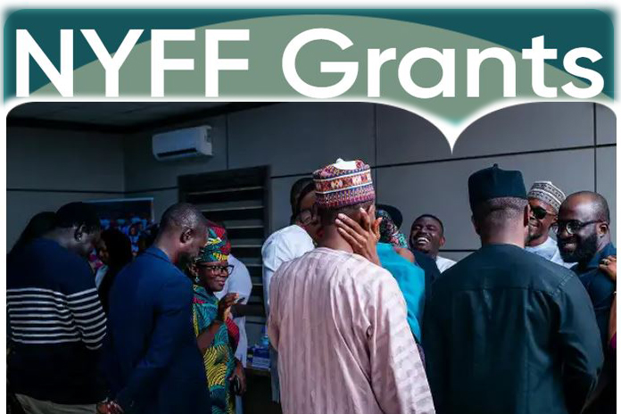 Nigeria Youth Futures Fund Grant